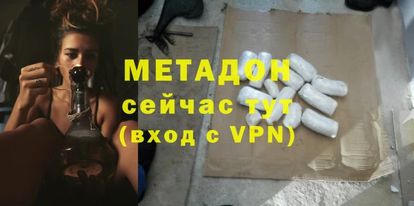 прущие грибы Вязьма