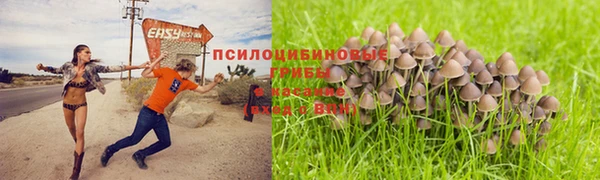 дмт Вяземский