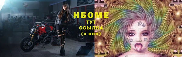 индика Дмитров