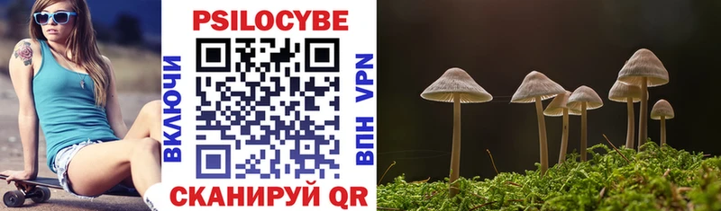 Галлюциногенные грибы прущие грибы  где найти   Брюховецкая 